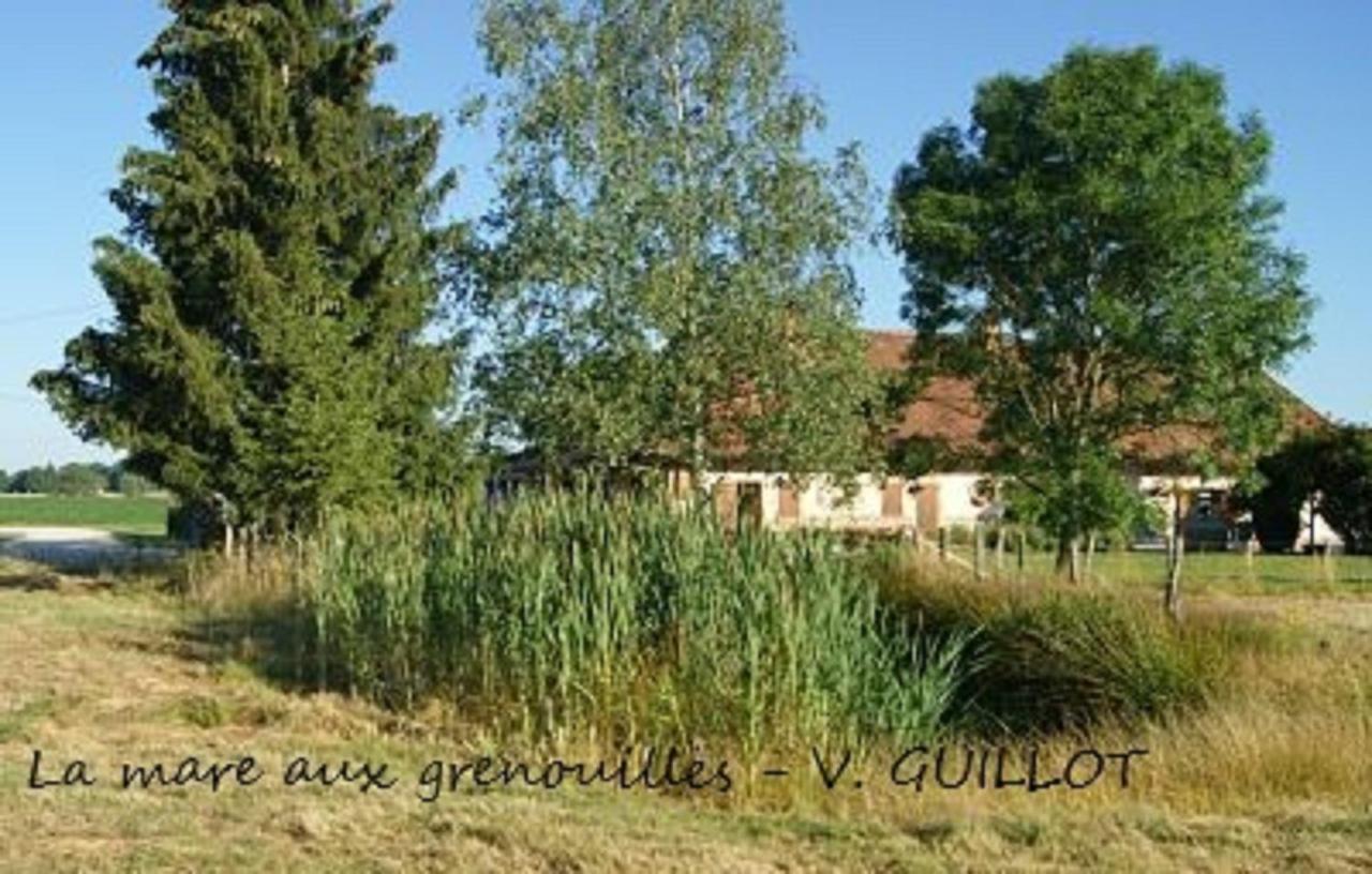 La Mare Aux Grenouilles Bed & Breakfast Bruailles Luaran gambar